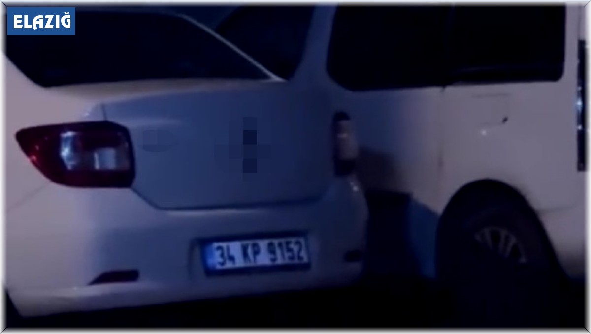 Şehir merkezinde karşılaştığı tilkiyi ıslık çalarak yanına çağırdı