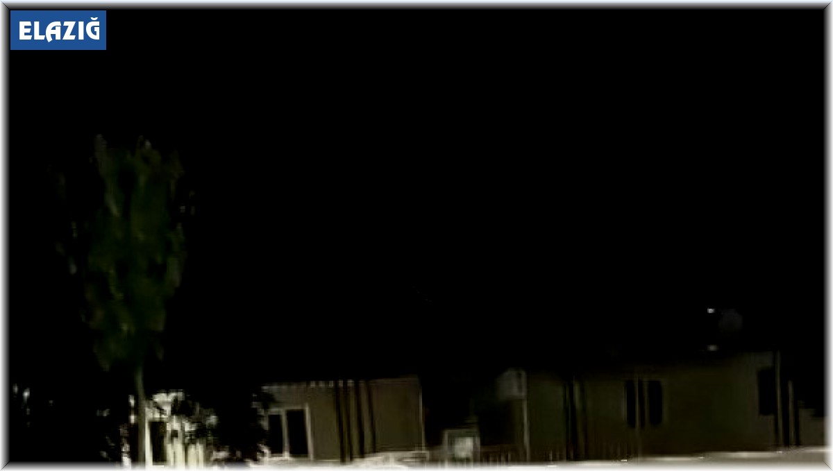 Şehir merkezindeki bariyere çıkan yılan paniğe neden oldu