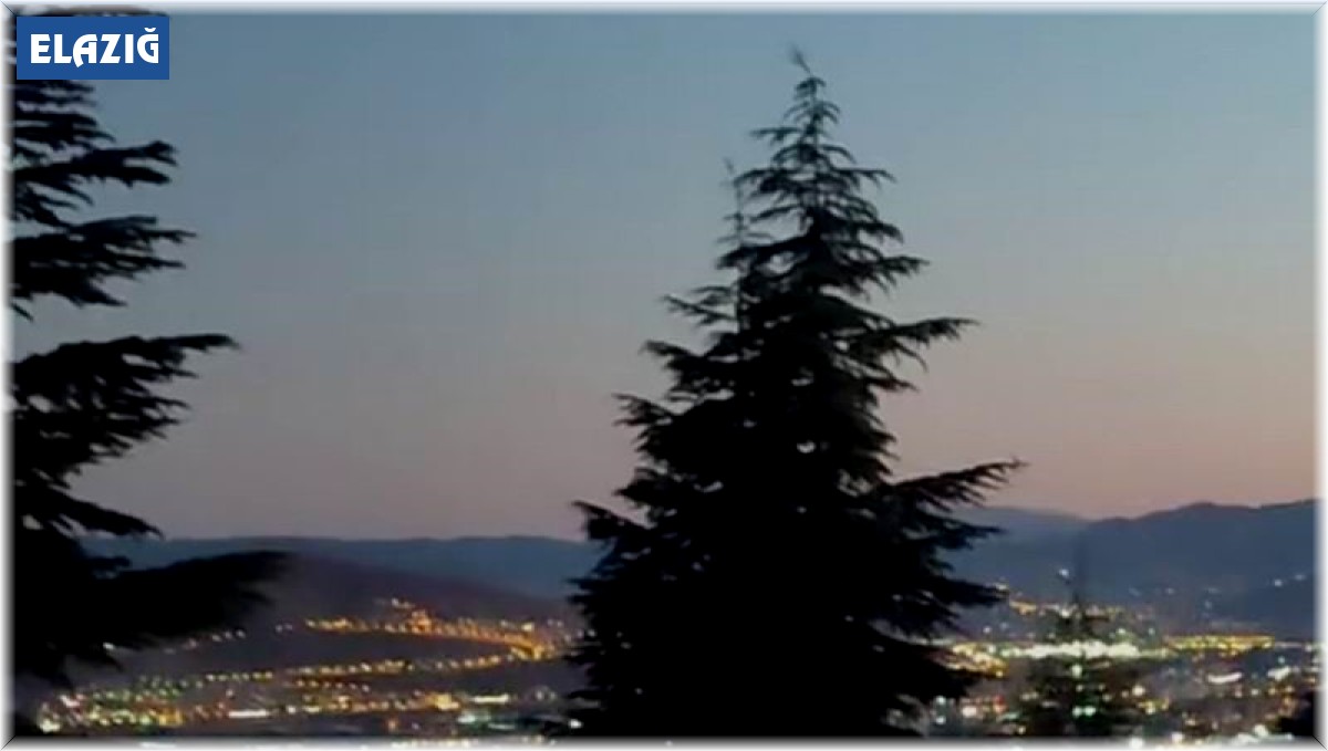 Şehir merkezine inen tilkileri elleri ile beslediler