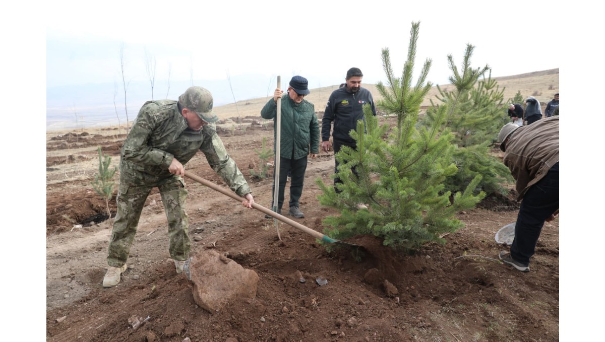 Şehit arkadaşlarının hatırasına 2 bin 400 rakımlı tepeye ağaç diktiler