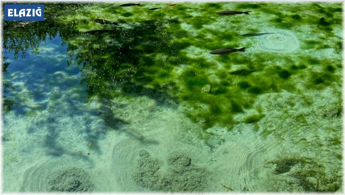 Şehrin ortasındaki gizemli Dipsiz Göl, görenleri hem şaşırtıyor hem de büyülüyor