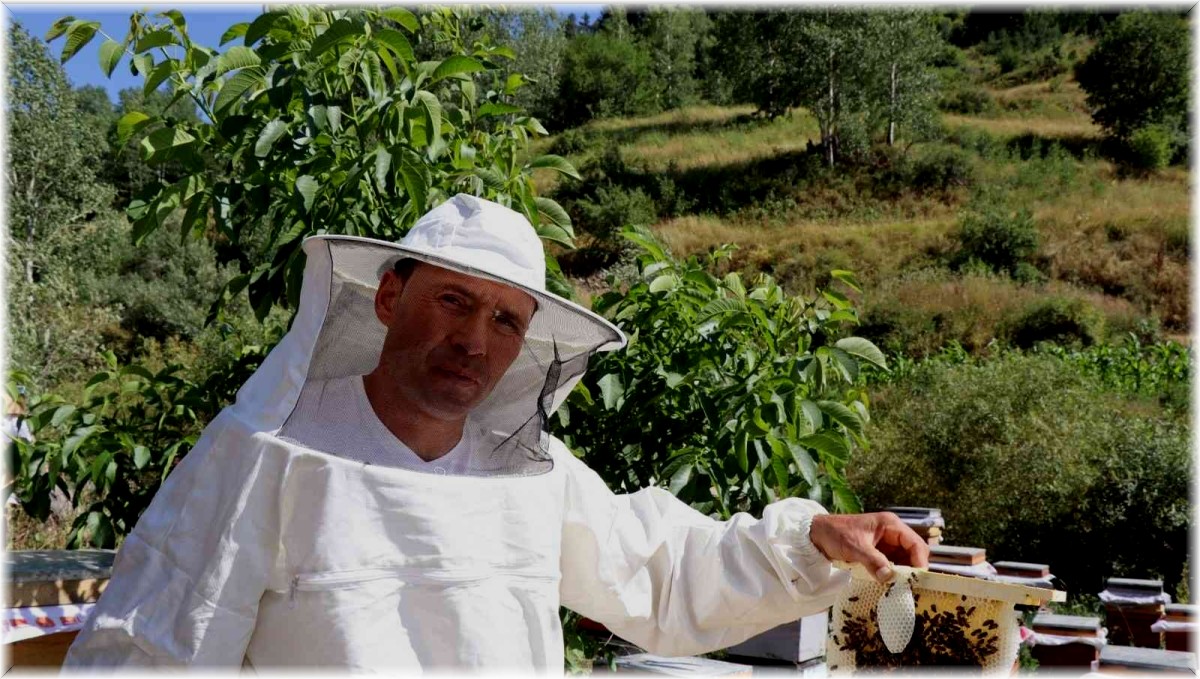 Şeker hastaları için bal üretiyor