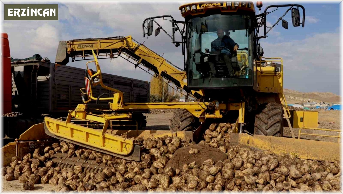 Şeker pancarı alım fiyatı ton başına bin 855 lira