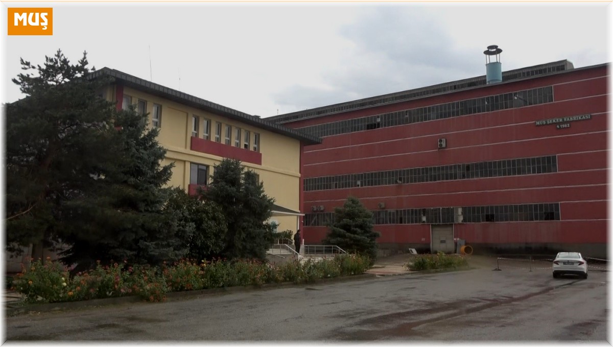 Şeker pancarı üretiminden ekonomiye 2 milyar 400 milyon lira katkı