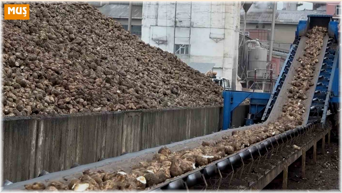 Şeker pancarıyla kent ekonomisine 2,5 milyar TL katkı hedefleniyor