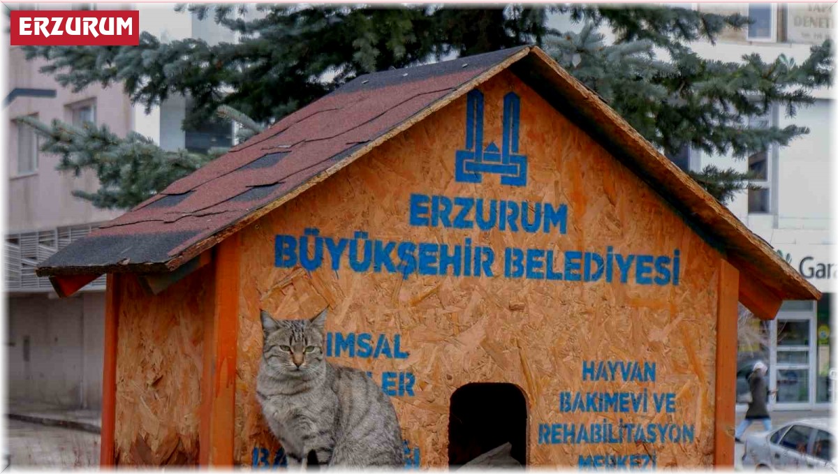 Sekmen; "Her can bize emanet"