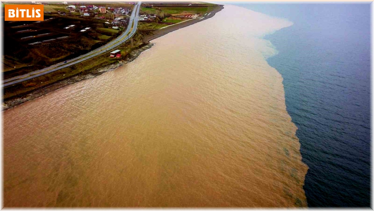 Sel suları Van Gölü'nü kahverengiye boyadı