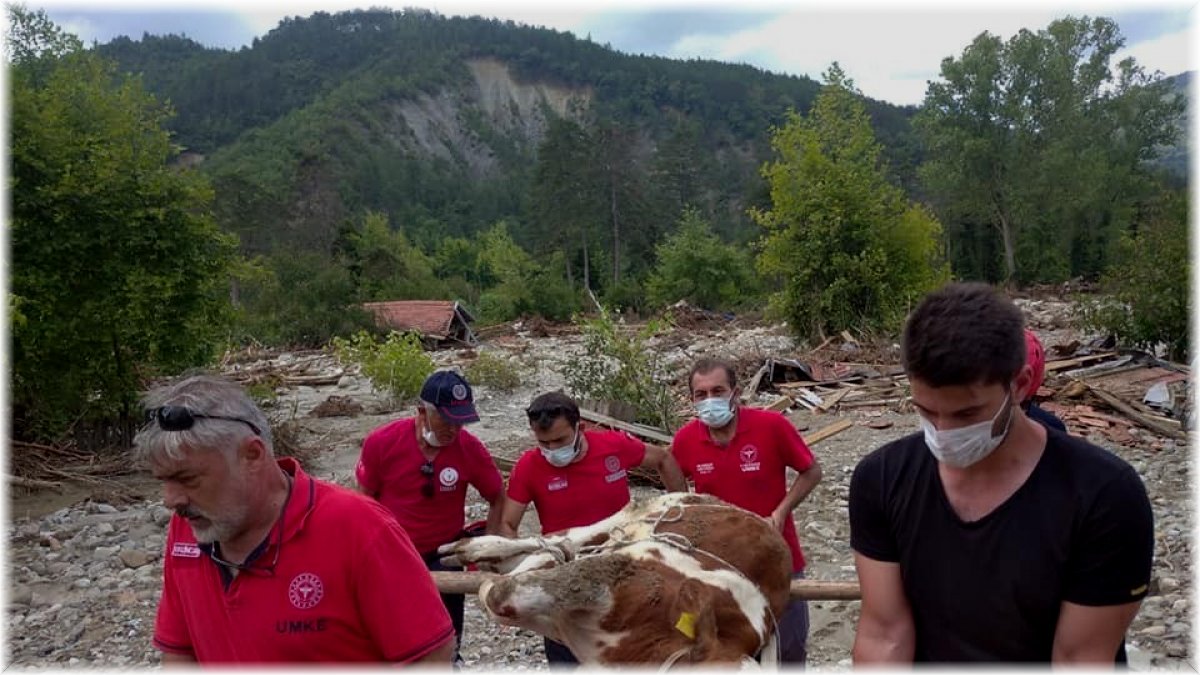 Selde yaralanan buzağı Erzincan ve Bayburt UMKE ekipleri tarafından kurtarıldı