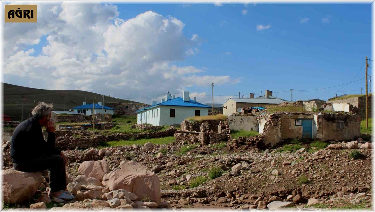 Sele kapılan hayvanlar telef oldu, yollar zarar gördü