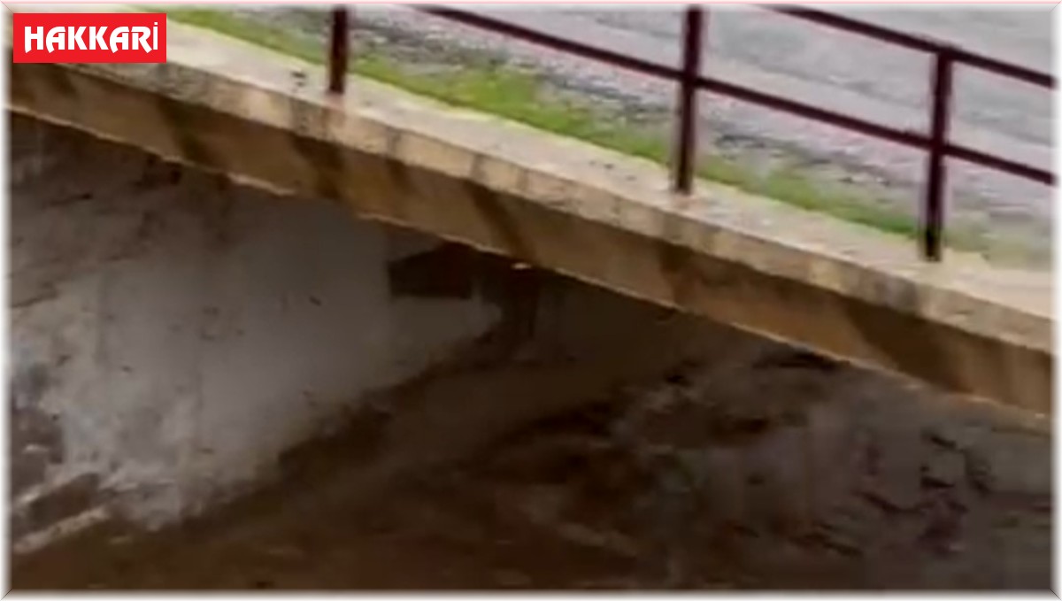 Sele kapılan inek telef oldu