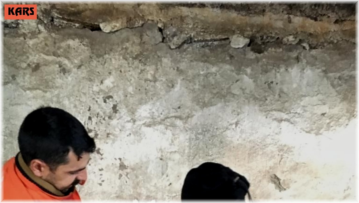 Selim'de aşılama ve kimliklendirme çalışmaları sürüyor