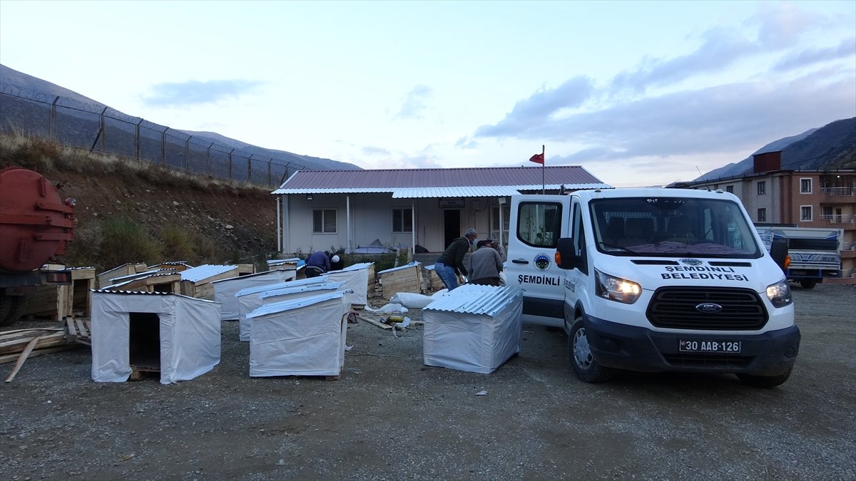 Şemdinli Belediyesi sokak hayvanları için 150 kulübe yaptı