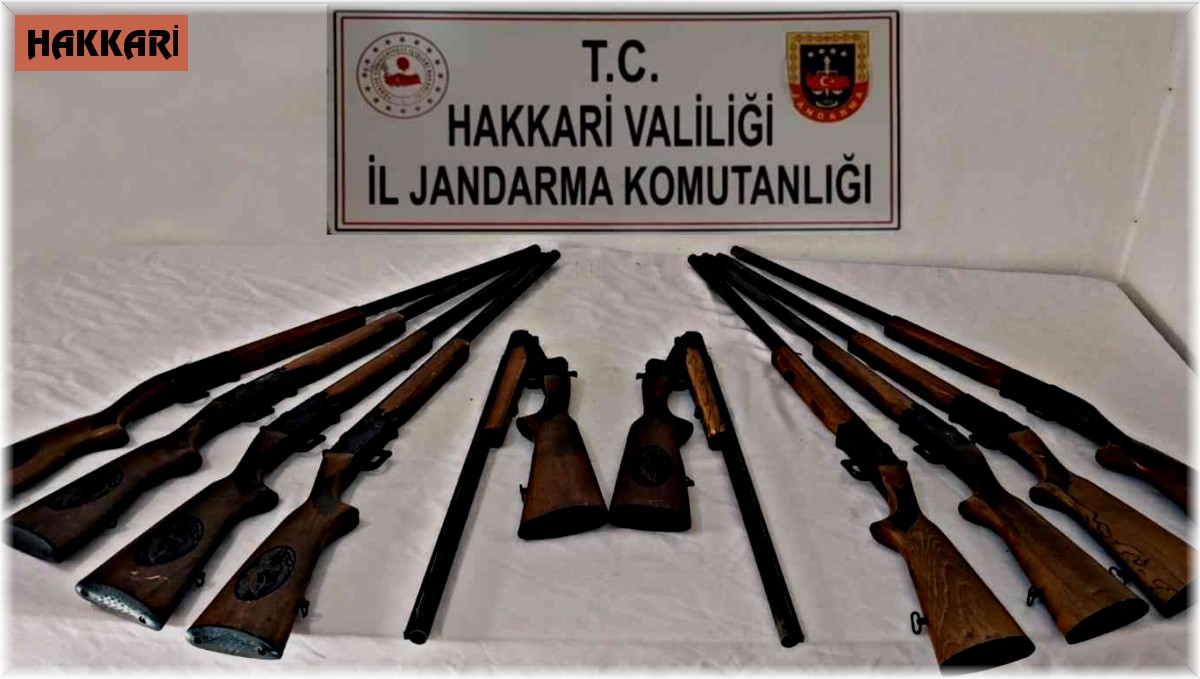Şemdinli'de 10 adet av tüfeği ele geçirildi