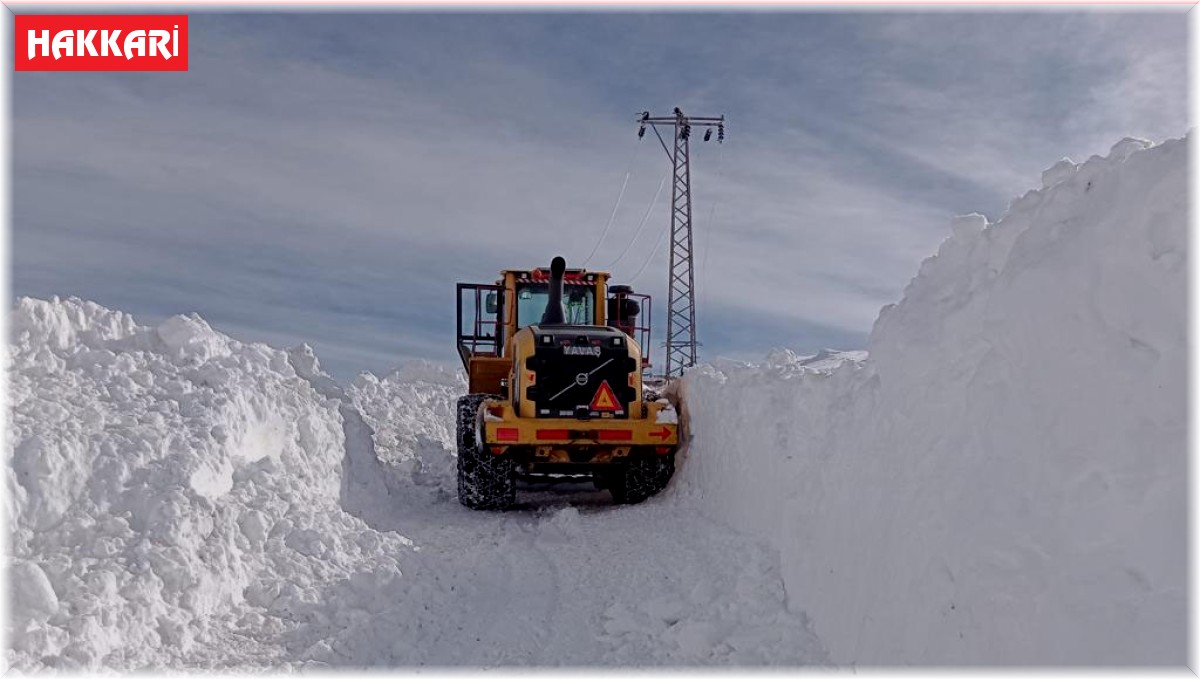 Şemdinli'de 3 metreyi bulan karda yol çalışması