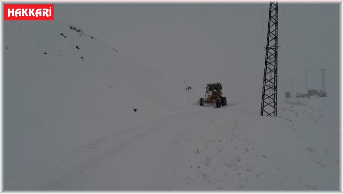 Şemdinli'de 49 yerleşim yerinin yolu ulaşıma kapandı