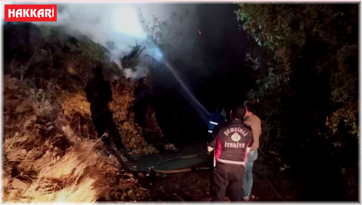 Şemdinli'de 7 bin bağ ot ve 13 ton saman kül oldu