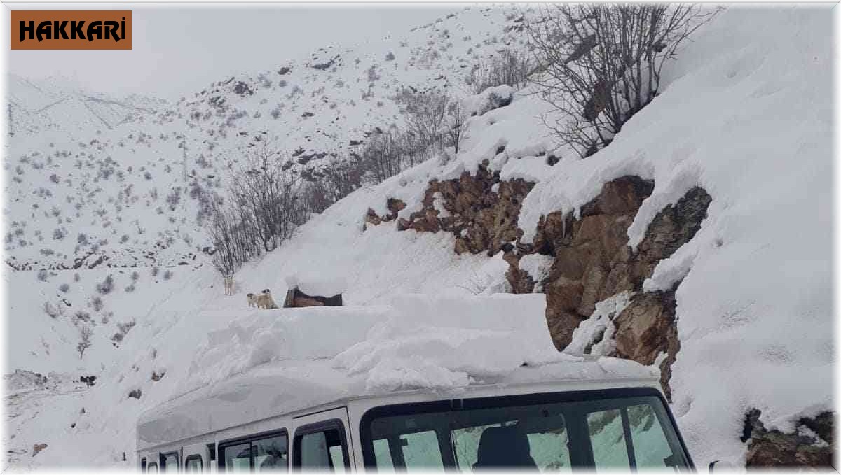 Şemdinli'de can dostlar unutulmadı