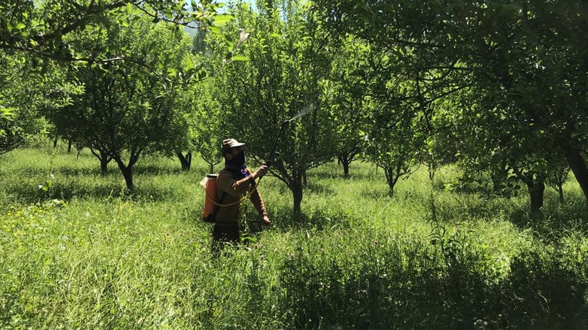 Şemdinli'de çiftçilerin bahar mesaisi
