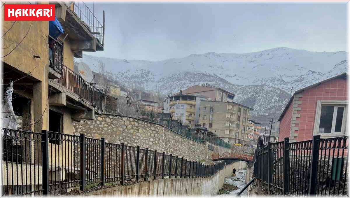 Şemdinli'de dere temizleme çalışması