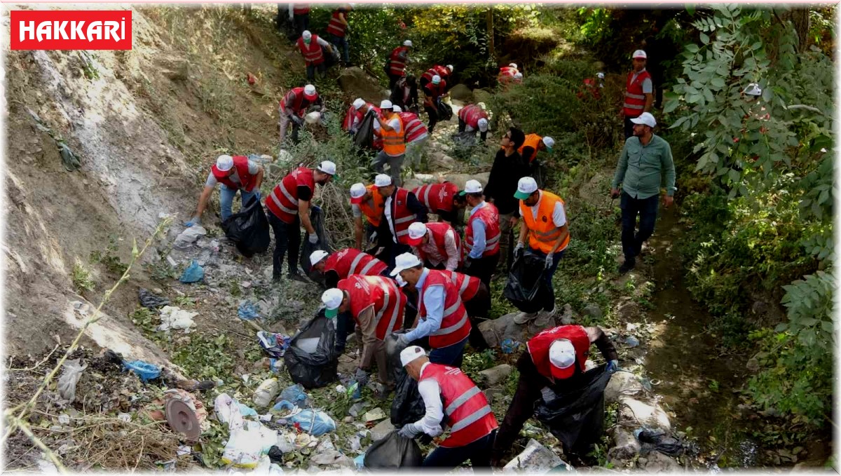 Şemdinli'de gönüllüler bir olup ilçeyi çöpten arındırdı