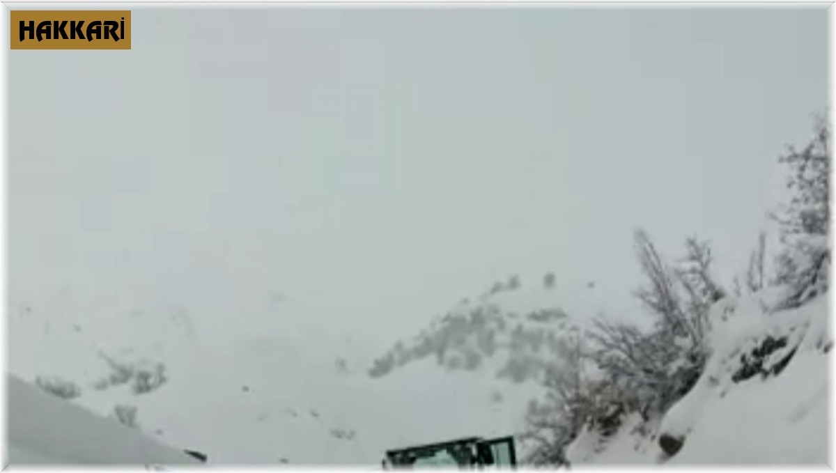 Şemdinli'de hasta kurtarma operasyonu