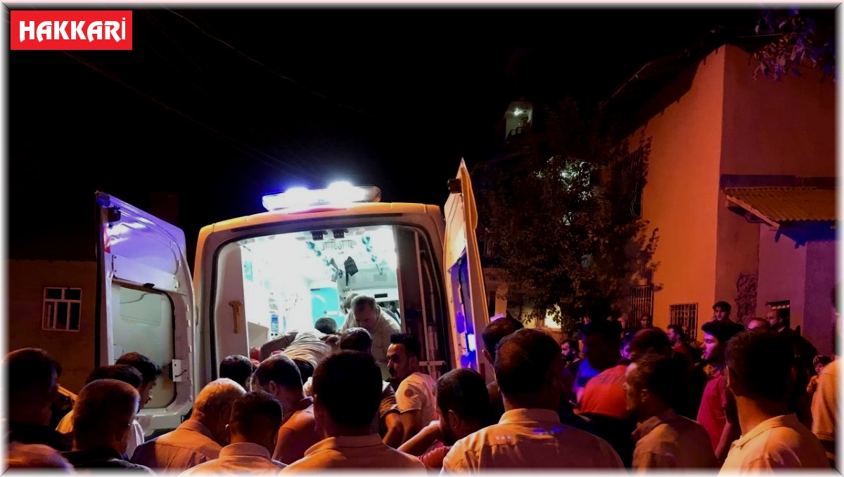 Şemdinli'de kamyonet uçuruma yuvarlandı: 1 yaralı