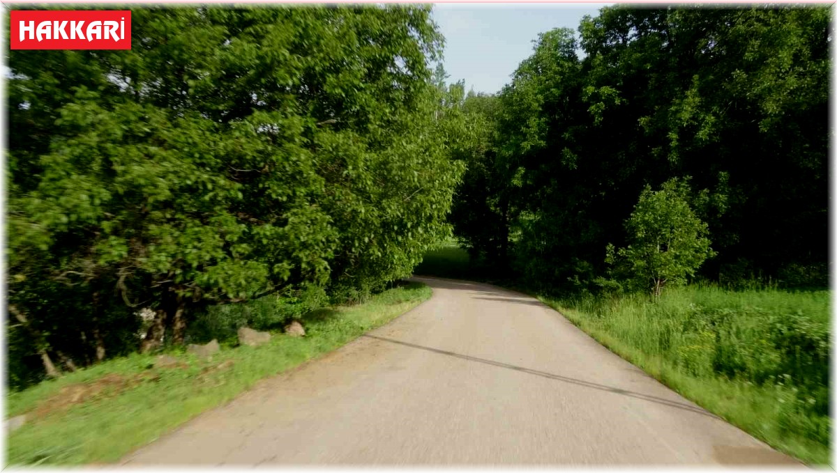 Şemdinli'de Karadeniz'i aratmayan görüntüler