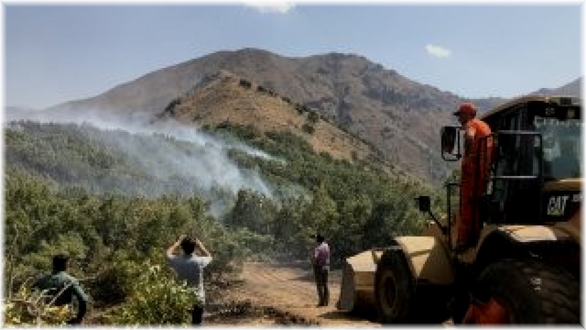 Şemdinli'de orman yangını kontrol altına alındı