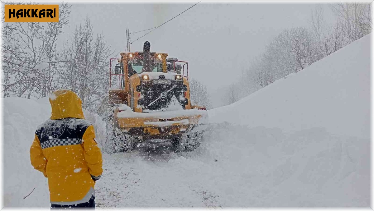 Şemdinli'de rahatsızlanan hasta için seferberlik