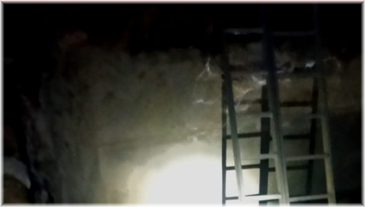 Şemdinli'de sulama havuzuna düşen 2 yavru ayı kurtarıldı