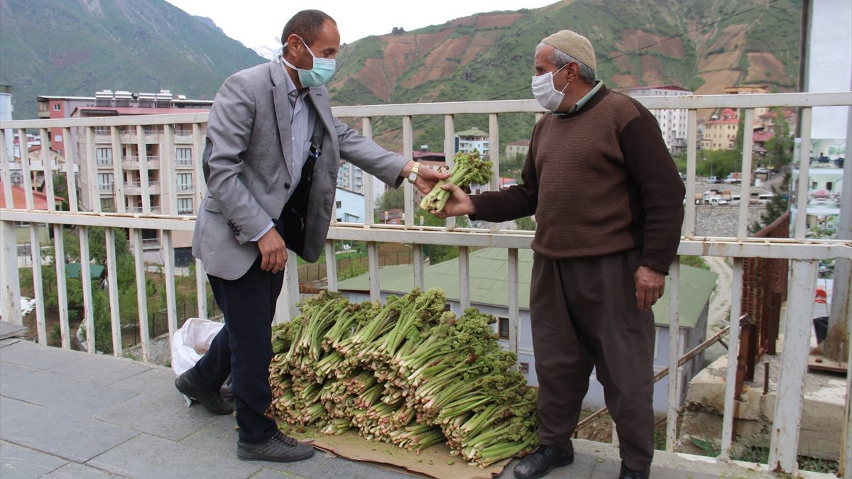 Şemdinli'de "yayla muzu" tezgahlardaki yerini aldı