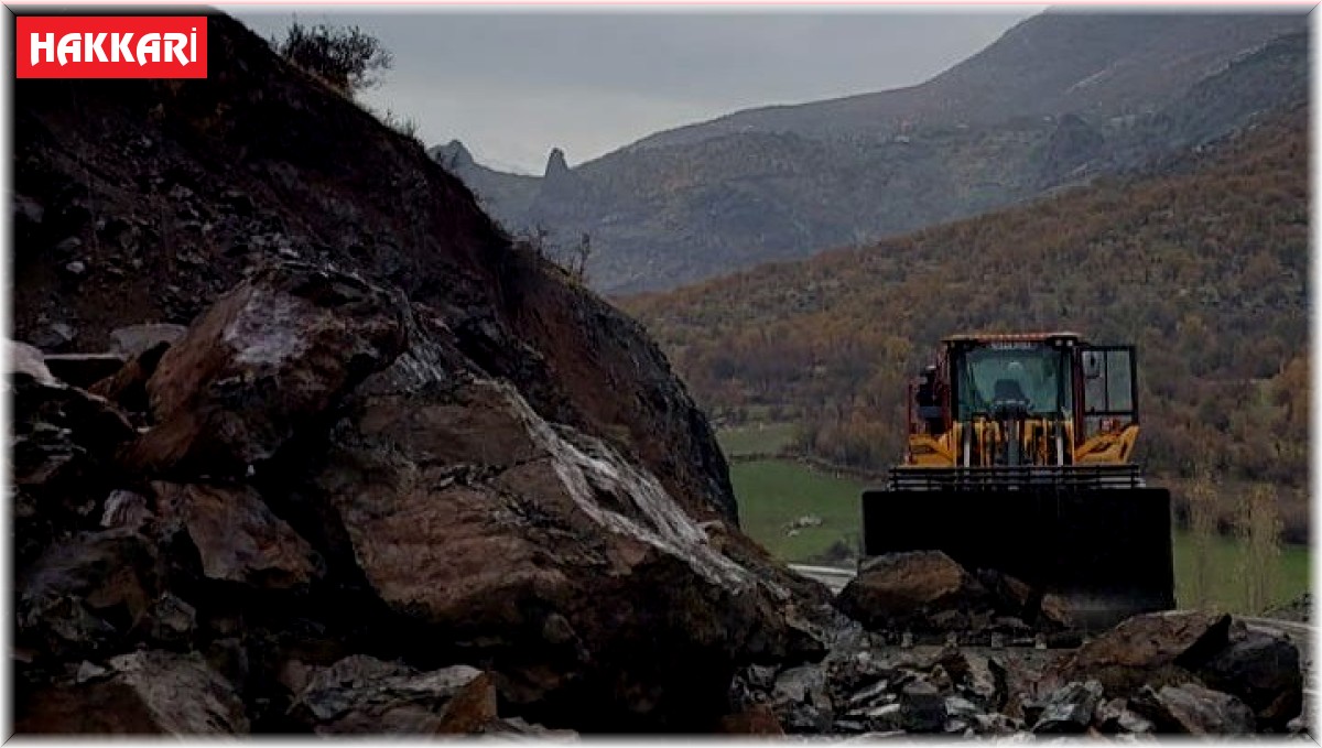 Şemdinli'de yola düşen kayalar temizlendi