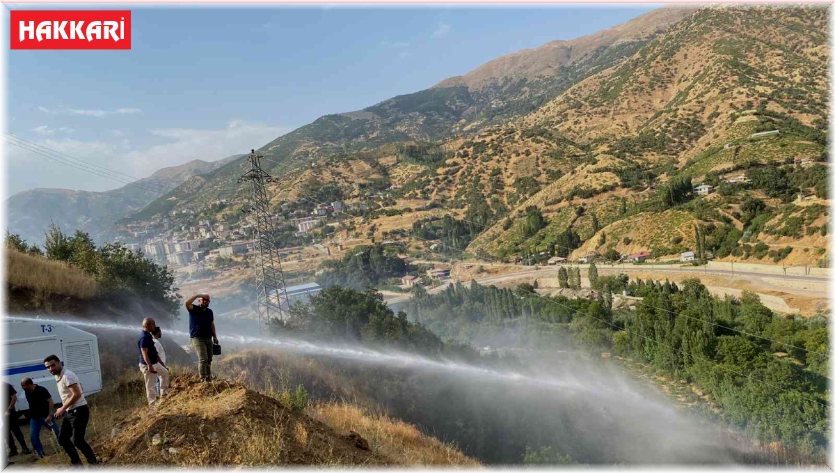 Şemdinli'deki örtü yangınına TOMA'larla müdahale