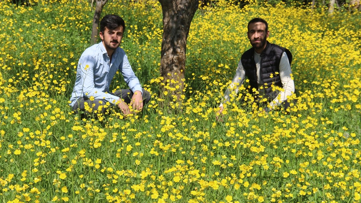 Şemdinli düğün çiçekleriyle renklendi