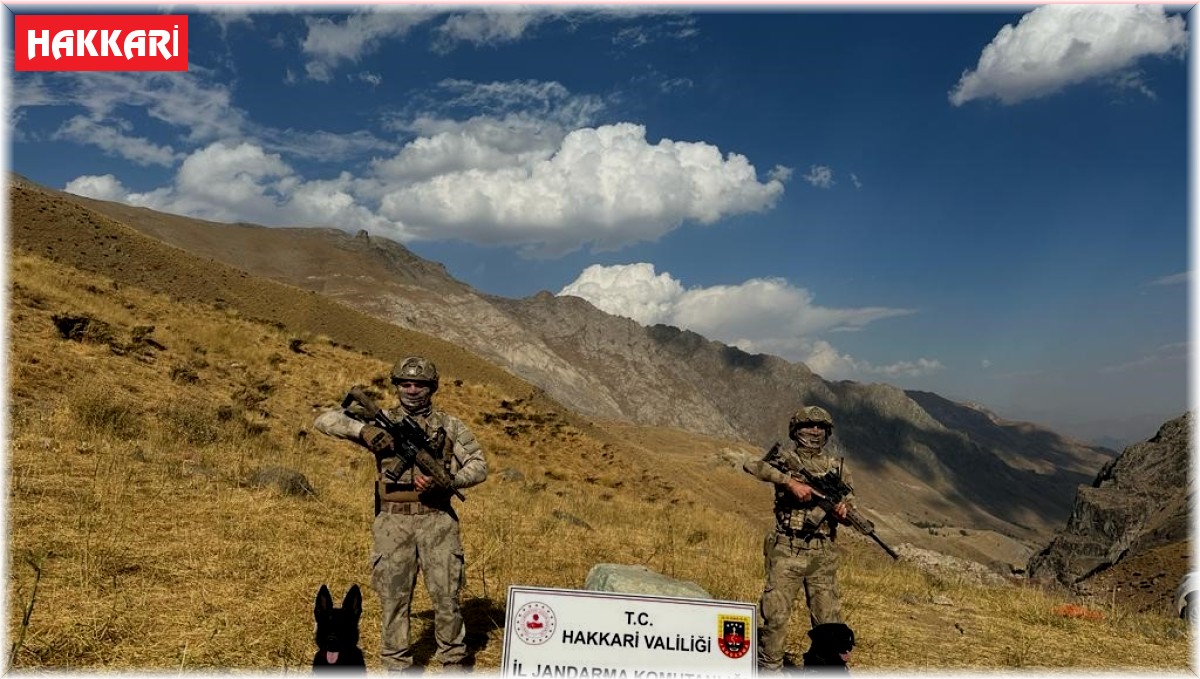 Şemdinli kırsalında 2 sığınakta silah ve mühimmat ele geçirildi