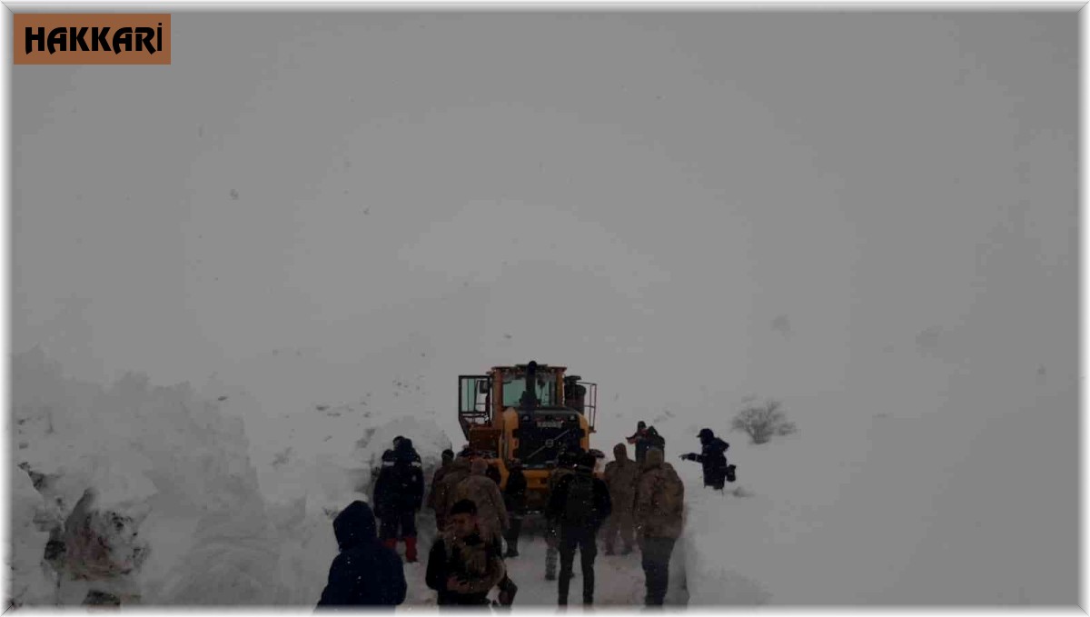 Şemdinli sınırında kaybolan 3 İranlı'dan haber alınamıyor