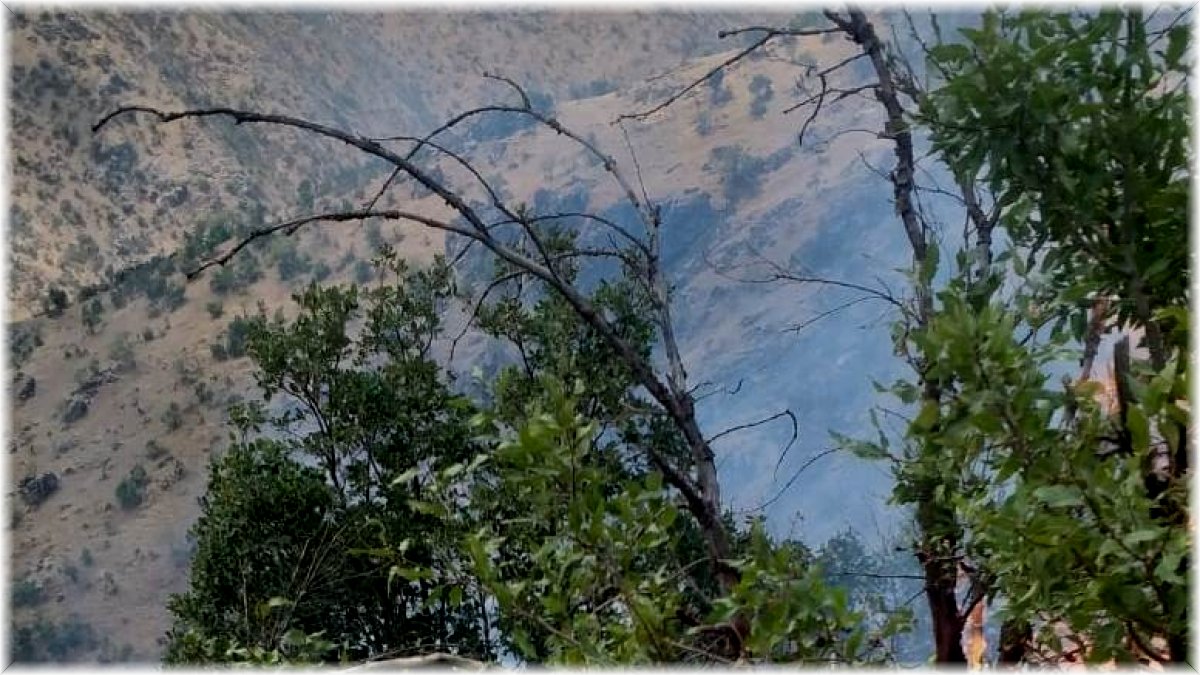 Şemdinli’de orman yangını