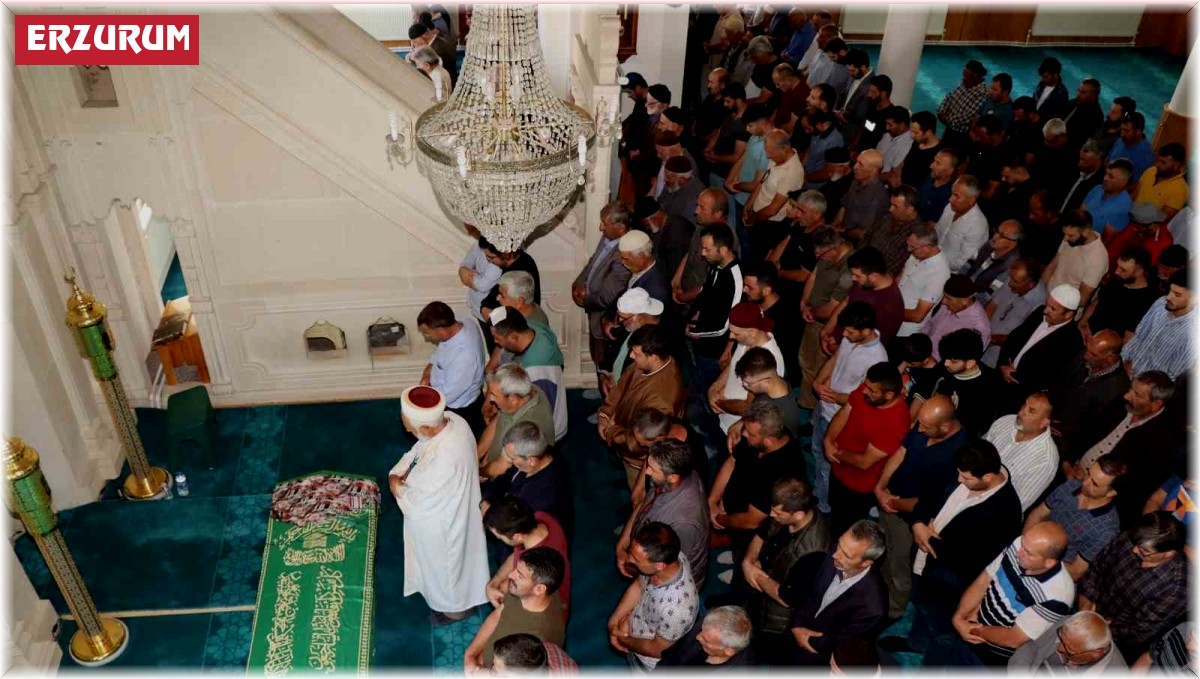 Sena doktor toprağa verildi