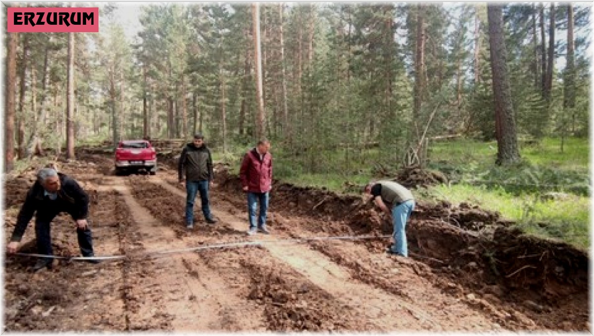 Şenkaya ve Oltu'da orman yolları onarılıyor