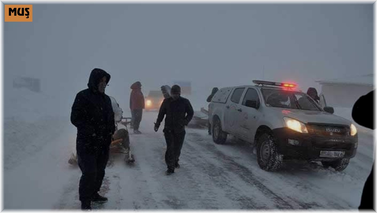 Şenyayla bölgesinde mahsur kalanlar kurtarıldı