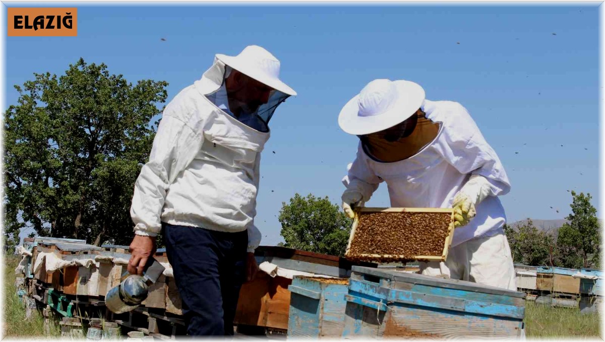 Sert geçen kış ve yaşanan kar yağışı arıcıları sevindirdi, verimli bir sezon bekleniyor