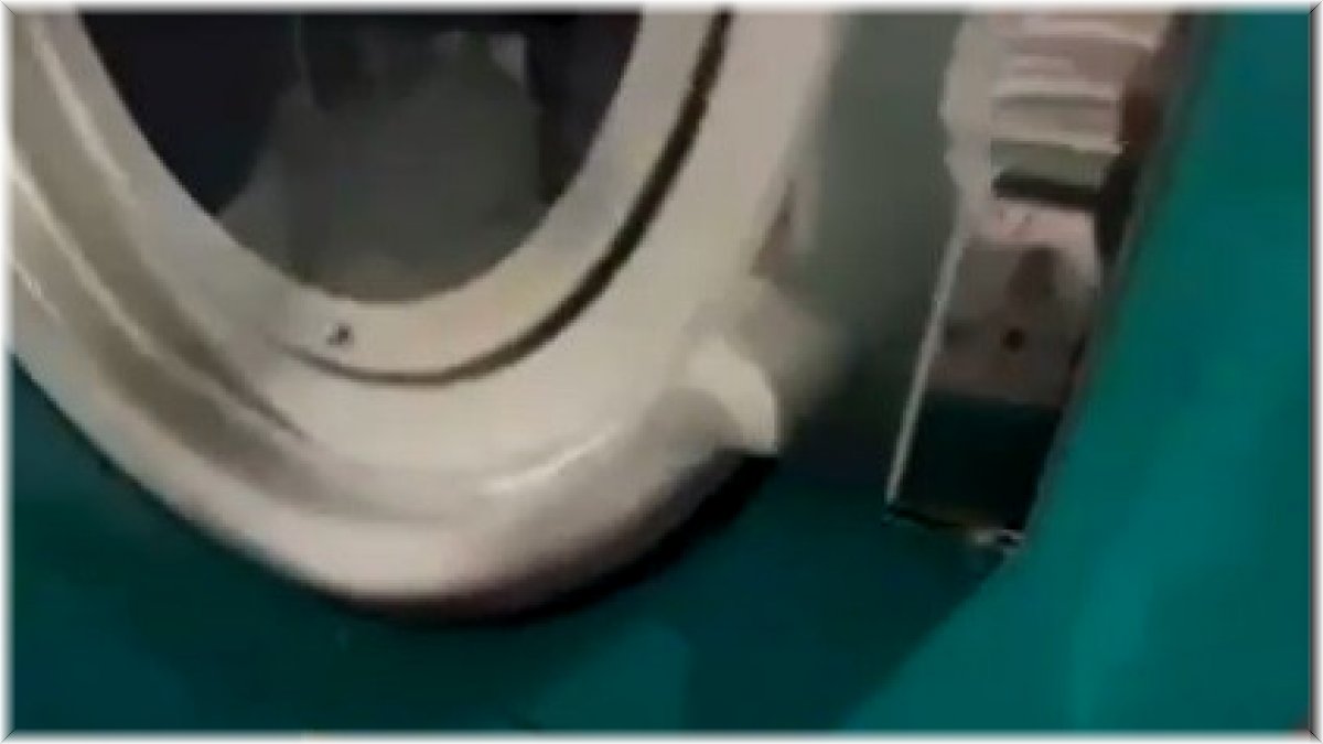 Sesi duydular, anne ve yavru kedileri kurtardılar