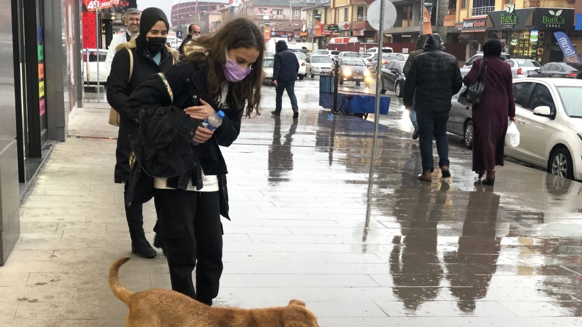 Sevimli köpeğin kovayla oyunu tebessüm ettirdi