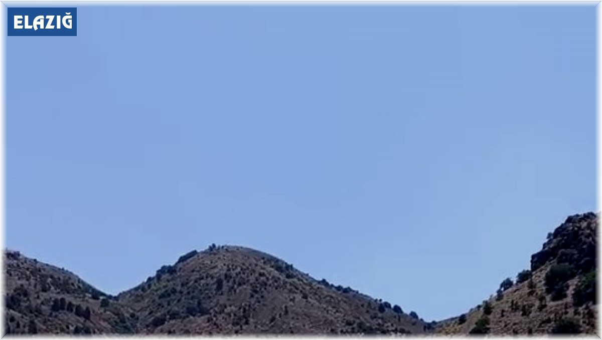 Seyir halindeki kamyondan yükselen dumanlar paniğe neden oldu