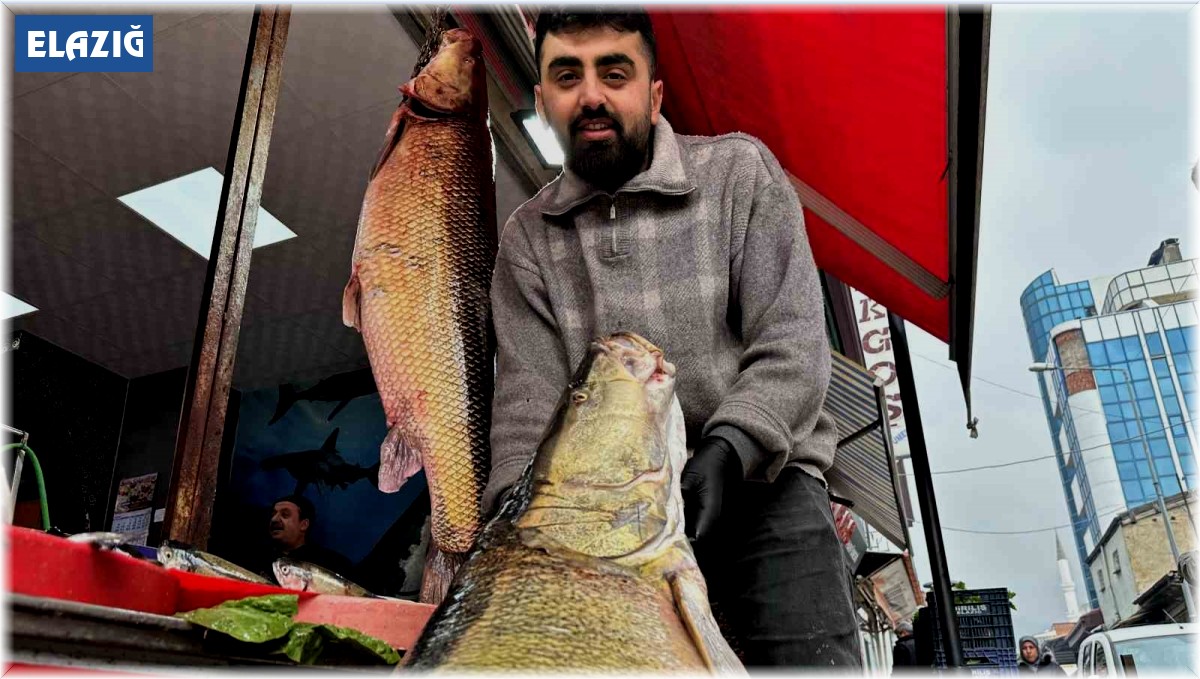 Sezonun son dev turnaları yakalandı, vatandaşlar telefonlarına sarıldı