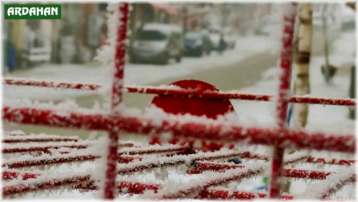 Sibirya soğukları Ardahan'ı dondurdu
