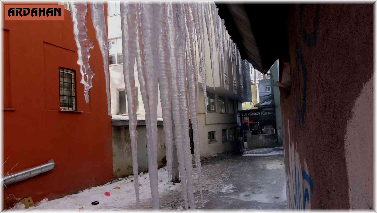 Sibirya soğukları ile donan Ardahan'da araçlar çalışmadı