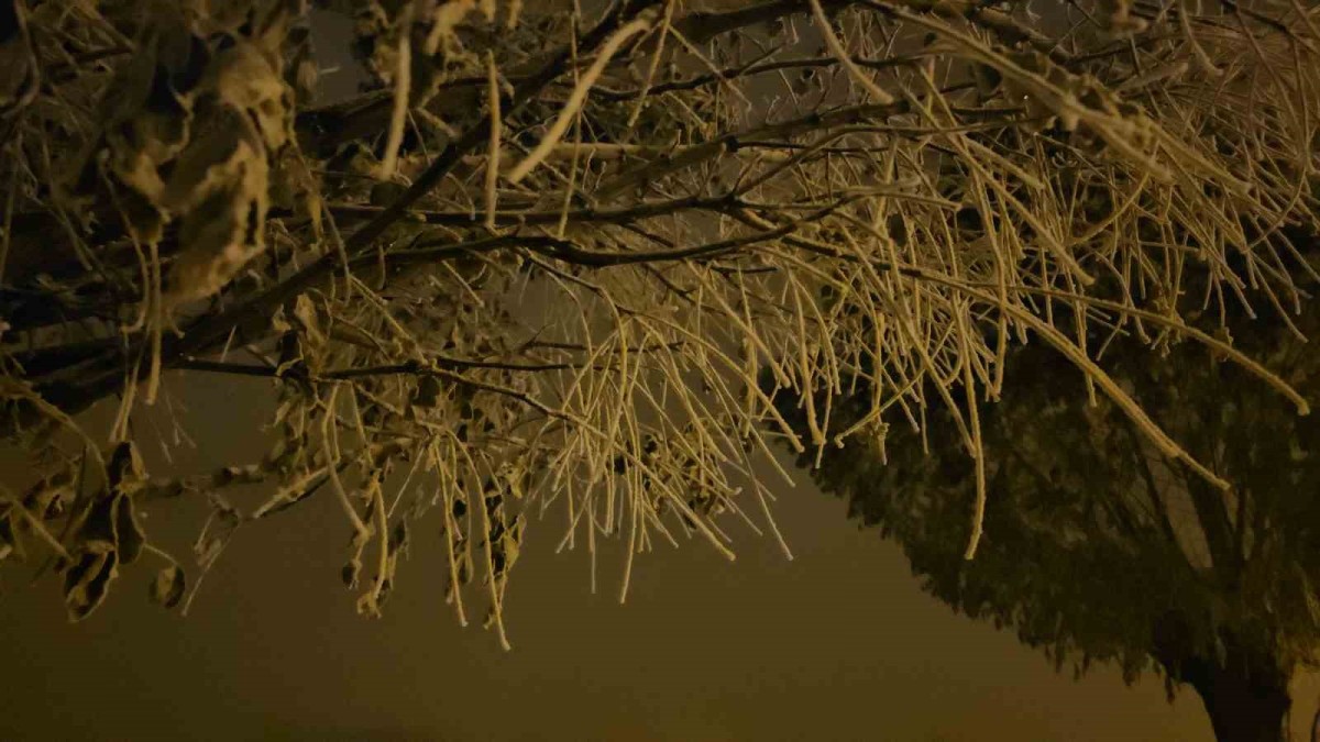 Sibirya soğuklarının başladığı Bitlis'te araçlar naylon brandalarla sarıldı