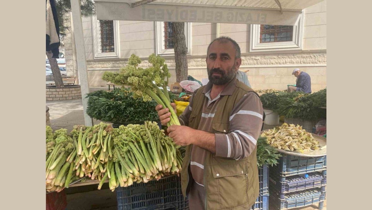 Şifa deposu ışkın, tezgahtaki yerini aldı