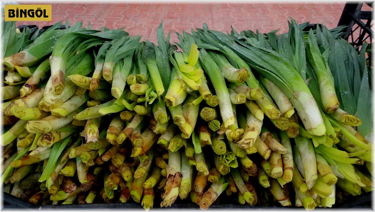 Şifa kaynağı 'Çiriş' otu tezgahlardaki yerini aldı